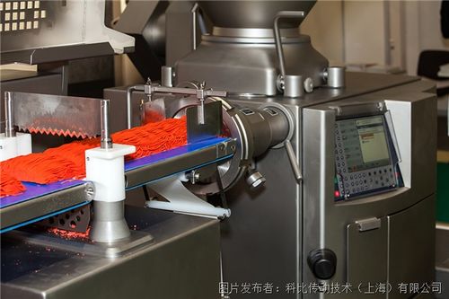 粽情端午,樂(lè)在其粽